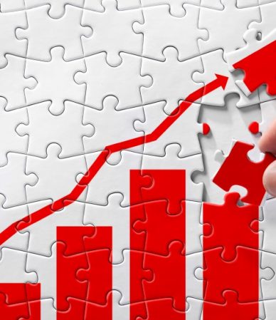 The Guide to a Profitable Business